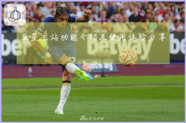 亚星主站功能介绍及使用体验分享