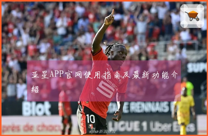 亚星APP官网使用指南及最新功能介绍